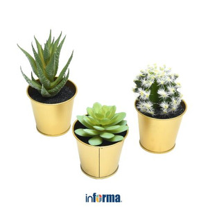 Informa - Informa 22x8x15 Cm Set 3 Pcs Tanaman Artifisial Kaktus Yl1