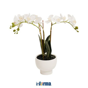 Informa - Bunga Artifisial Orchid 17x17x66 Cm - Putih