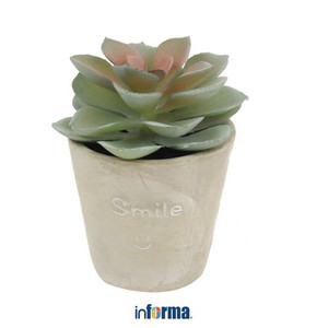 INFORMA - BUNGA ARTIFISIAL - ARTIFICIAL SUCCULENT IN POT Y1 7X7X9.4CM