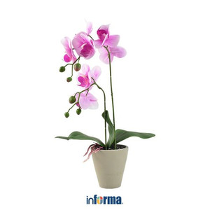 INFORMA - BUNGA PLASTIK - ARTIFICIAL ORCHID 7A 11X11X56CM WHT PPL