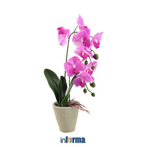 INFORMA - BUNGA PLASTIK - ARTIFICIAL ORCHID 7B 11X11X56CM LGHT PPL