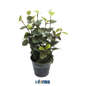 TANAMAN PLASTIK - ARTIFICIAL EUCALYTUS G2 34CM DARK GREEN