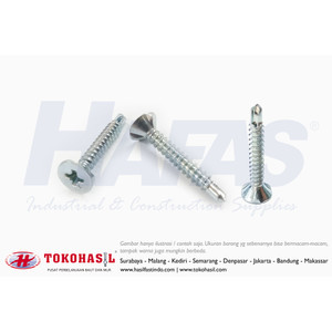 Sekrup FH+ RIB Drilling Screw #6x1, #6 x 1" - 20T (Putih)