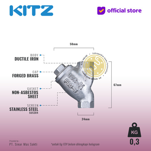 Y-Strainer Ductile Iron KITZ Fig. 10 FDY, Drat / Screw