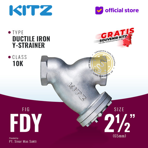 Y-Strainer Ductile Iron KITZ Fig. 10 FDY, 2 1/2" - 65mm , Drat / Screw