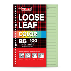 BigBoss Loose Leaf 100 B5 Hijau