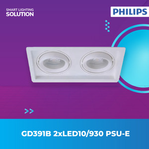 Philips FlexAccent G2 GD391B 2 X 12W/930 PSU-E