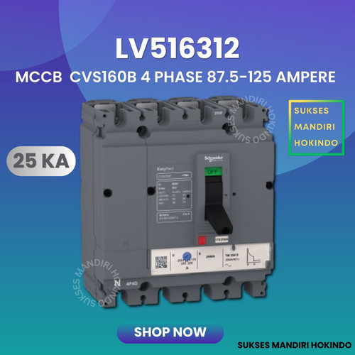 MCCB 4 Phase 125 Ampere 4P 125A Breaker CVS160B 25kA LV516312 4 Pas 125 Amper Schneider Original SNI