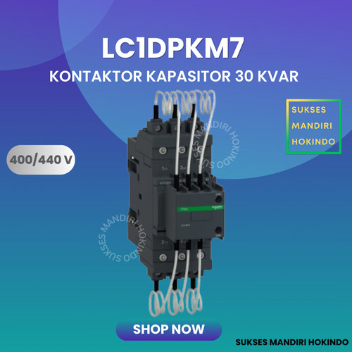 Kontaktor Kapasitor Schneider LC1DK 30kVAr 400-415V 220 VAC LC1DPKM7 Original SNI