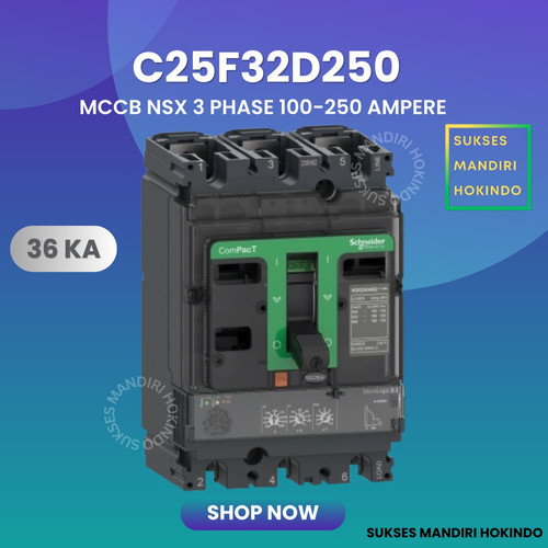 MCCB 3 Phase 250 Ampere 3P 250A Breaker 36kA 100-250 Amper C25F32D250 NSX250F Schneider Original SNI