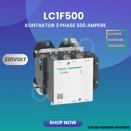 Kontaktor 3 Phase 500 Ampere 3P 500A LC1F500 220V Schneider ORI SNI