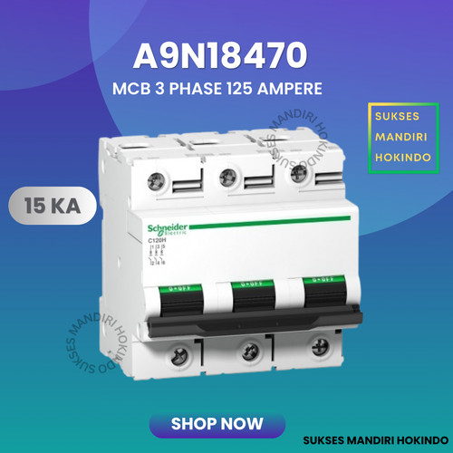 MCB 3 Phase 125 Ampere C120H 15kA Schneider 3P 125A Original SNI 100%