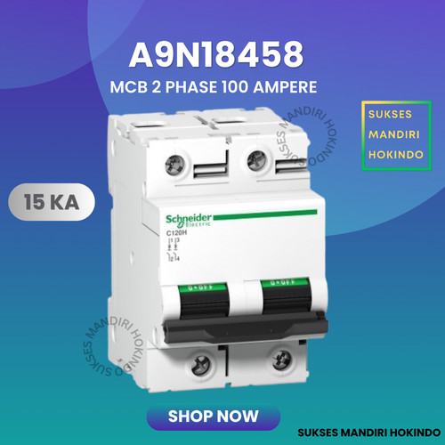 MCB C120H 2P 100A 2 Phase 100 Ampere 15kA Schneider Original SNI