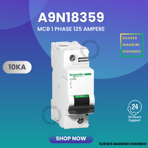 MCB 1 Phase 125 Ampere C120N 10kA Schneider 1P 125A Original SNI