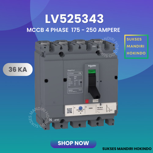 MCCB 4 Phase 250 Ampere TM250D CVS250F 36kA Schneider ORI SNI LV525343