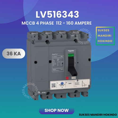 Breaker 4 Phase 160 Ampere CVS160F 36kA Schneider OriginalSNI LV516343