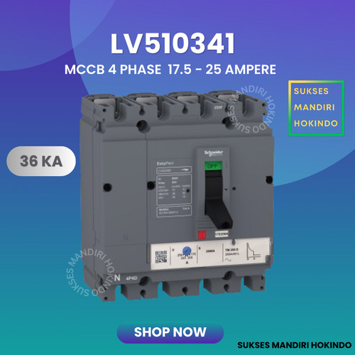 Breaker 4 Phase 25 Ampere CVS100F 36kA Schneider Original SNI LV510341