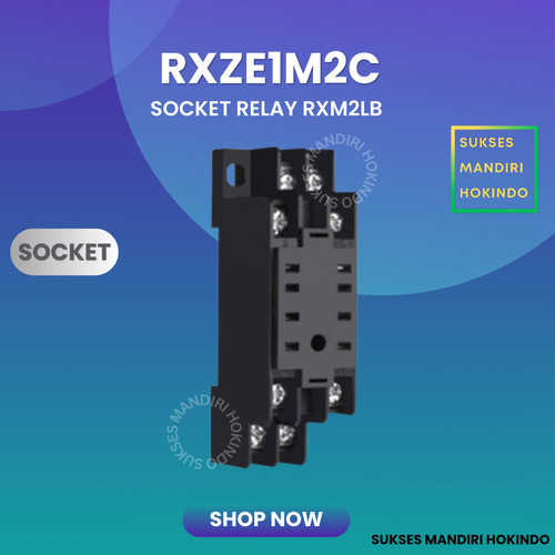 Socket Schneider RXZE1M2C untuk Relay RXM2LB Screw Clamp 7A 250 V ORI