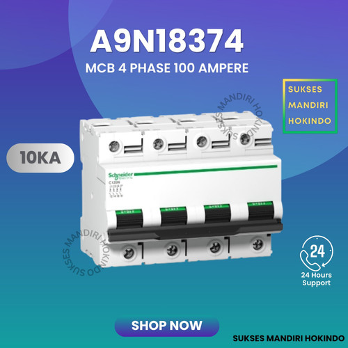 MCB 4 Phase 100 Ampere C120N Schneider 500 VDC Original SNI