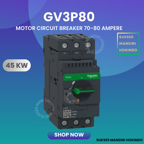 GV3P80 GV3P 80 Schneider Motor Circuit Breaker Original SNI 100%