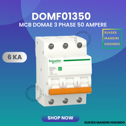 MCB 3 Phase 50 Ampere 3p 50a 3pole Schneider Domae Baru 6kA ORI SNI