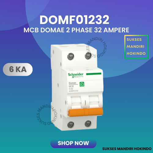 MCB 2 Phase 32 Ampere 2p 32a 2pole Schneider Domae Baru 6kA ORI SNI