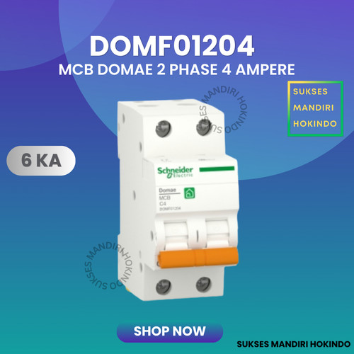 MCB 2 Phase 4 Ampere 2p 4a 2pole Schneider Domae Baru 6kA ORI SNI 100%