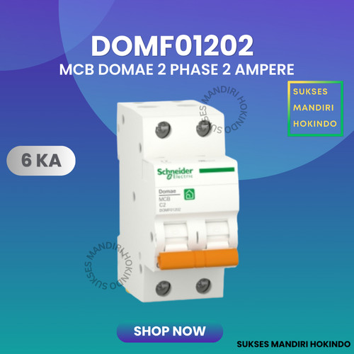 MCB 2 Phase 2 Ampere 2p 2a 2pole Schneider Domae Baru 6kA ORI SNI 100%