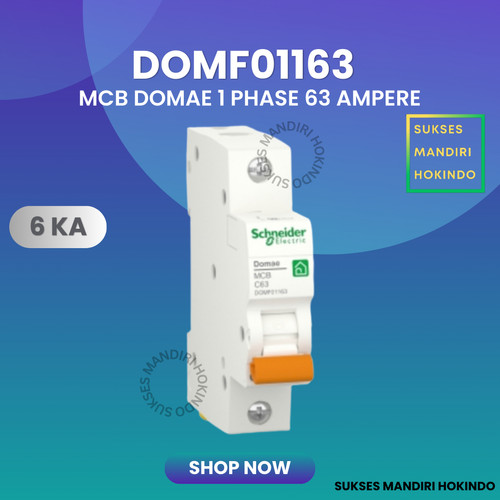 MCB 1 Phase 63 Ampere 1p 63a 1pole Schneider Domae Baru 6kA ORI SNI